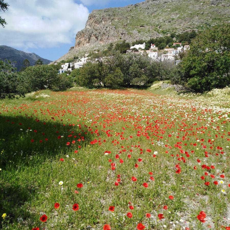 Tilos Island House Megalon Chorion (Tilos) Exterior foto