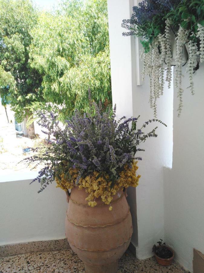 Tilos Island House Megalon Chorion (Tilos) Exterior foto